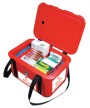 AVATHERM 180 Thermobox – กระเป๋าเก็บความเย็นสำหรับการขนส่งพร้อมช่องเติมด้านบนและสายรัด (11 ลิตร)